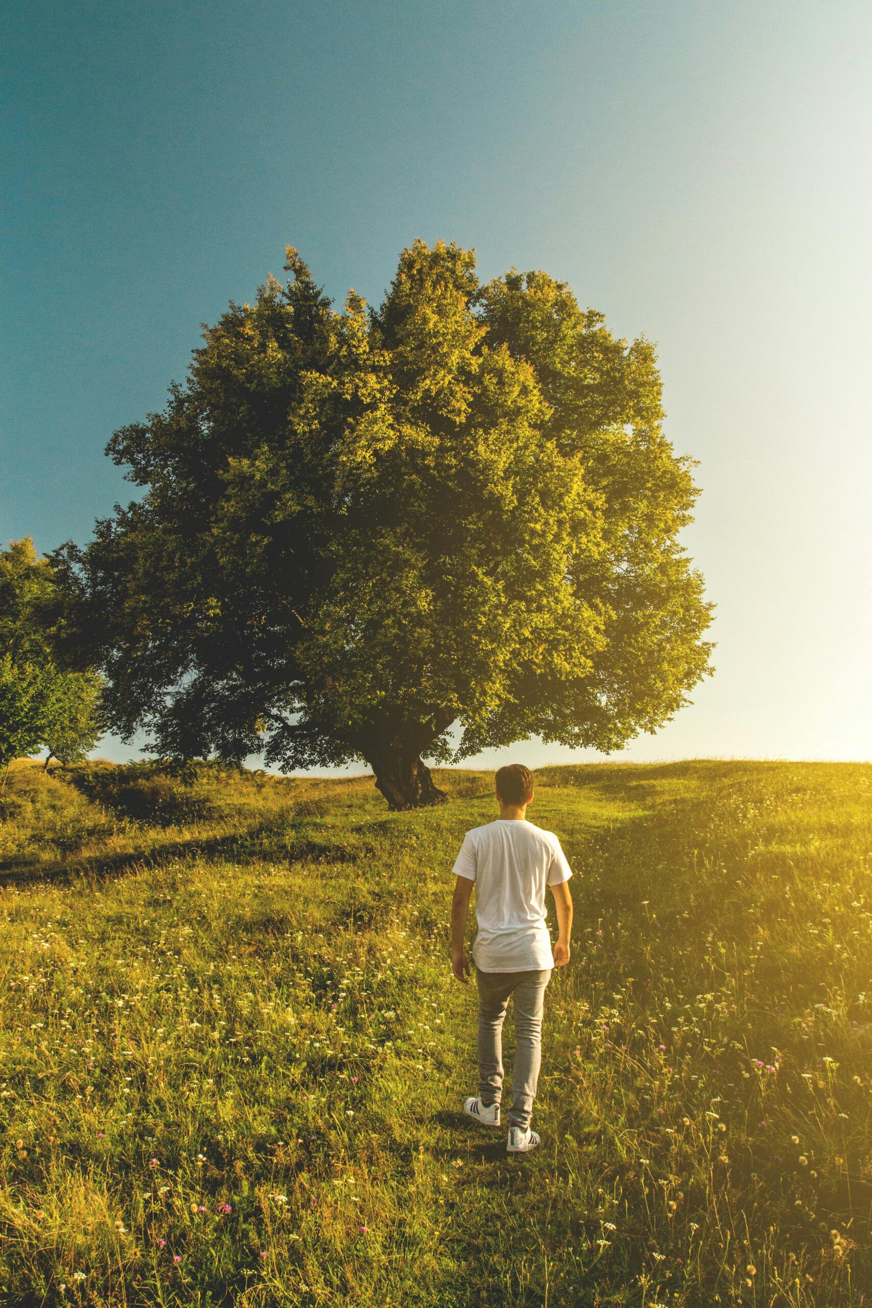 Nature’s Hidden Secret: A Powerful Antidote to Modern Stress and Anxiety says Stress Prevention Expert